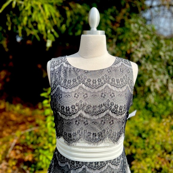 Elegant Lace Dress (dress barn ) - Picture 3 of 7